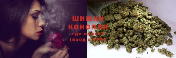 твердый Кулебаки