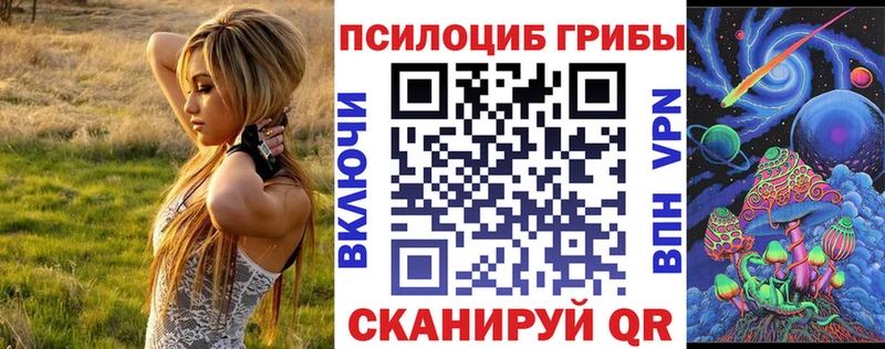 Псилоцибиновые грибы Psilocybe закладка Плавск